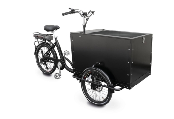 Elektrisches Solar-Lastenfahrrad LFS150-E, 25 km/h 150 kg Maximallast inkl. 1 Akku, TecMaschin 